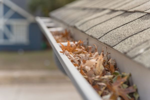 Leaf Barrier Installation in Mansfield