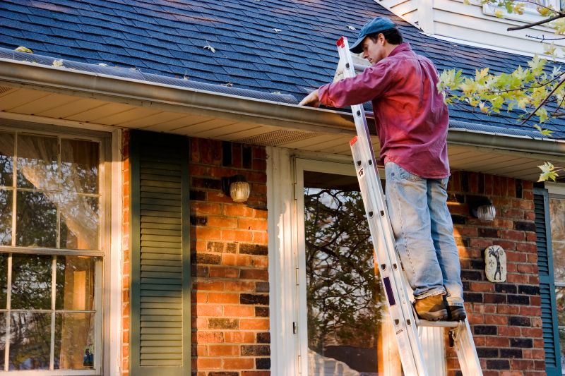 Professional Gutter Cover Service